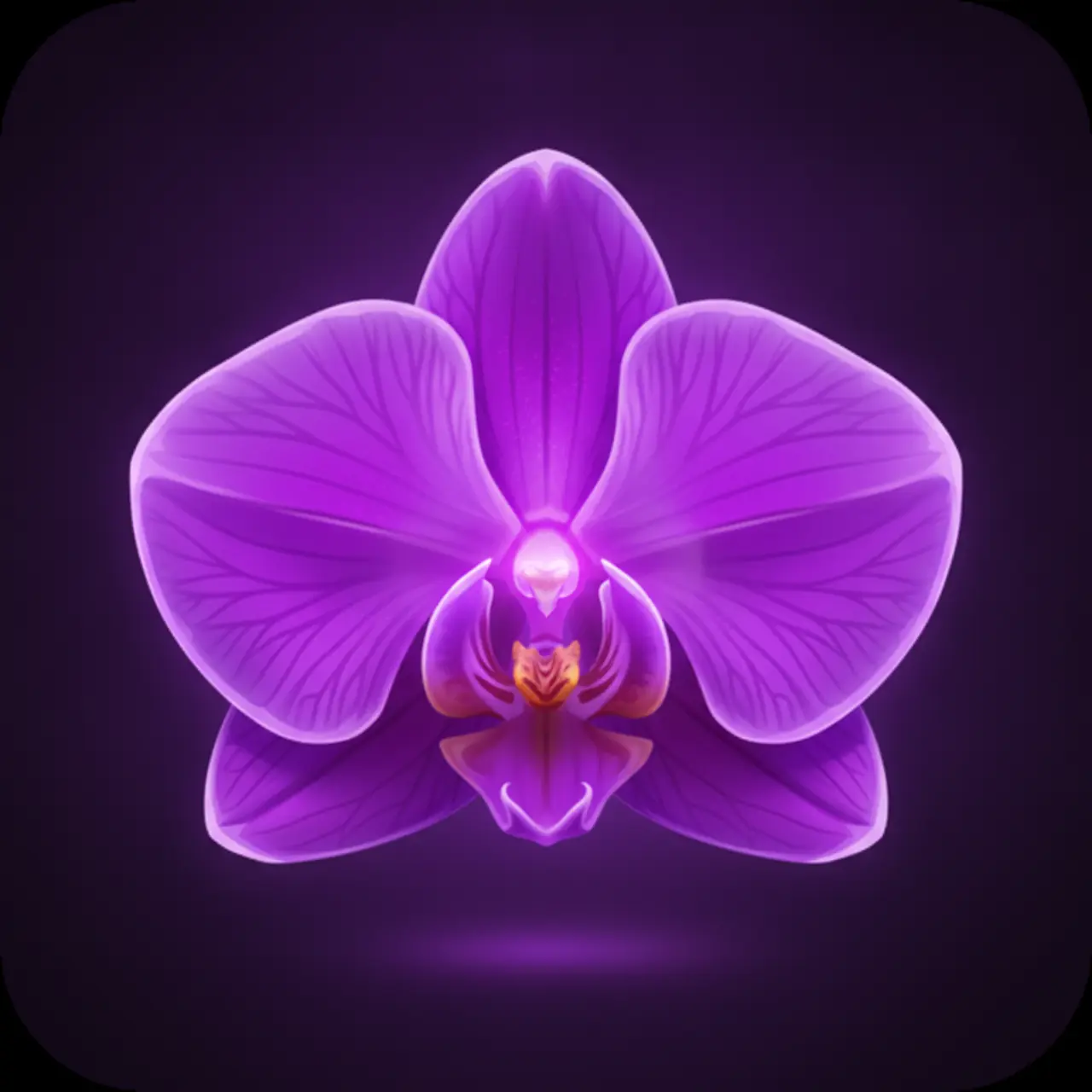Orchid